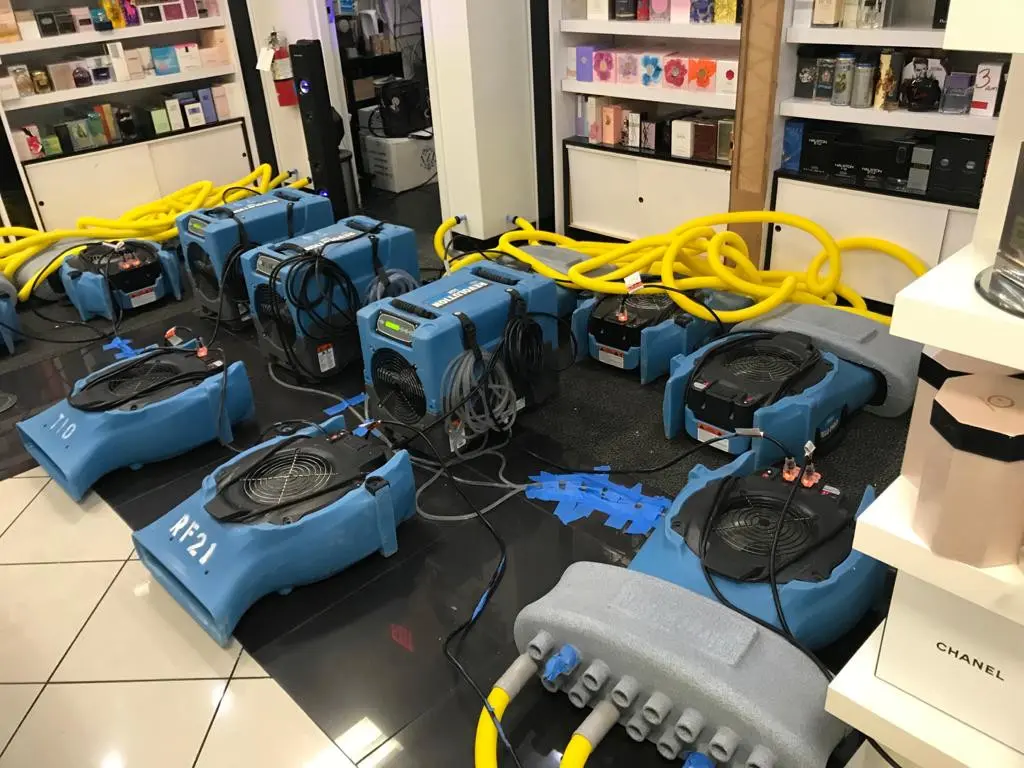 Royal Damage Restoration & Mold Remediation. Local, Honest, Affordable HVAC Services Restoration Services experts